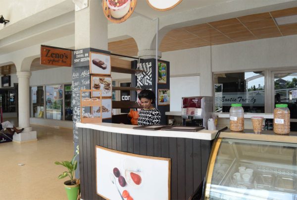 loystar_+_zeno_yoghurtbar